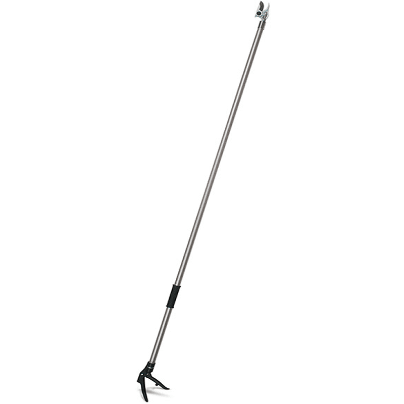 PP 100 Extended Reach Pruner