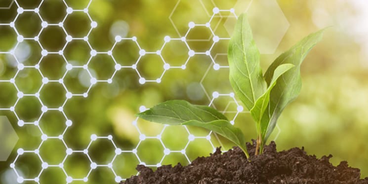 Plan Ahead Plan Ahead